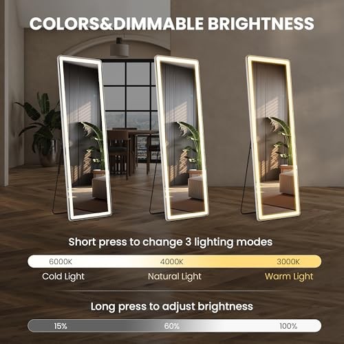Full Length Mirror with LED Lights, 60"x16"Floor Mirror 60"L x 16"W Rectangular gallery