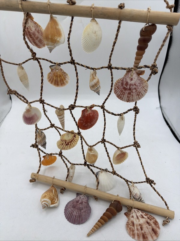 Medium seashell net. Beach home decor. Wall art. Crafts nautical sea shell gallery