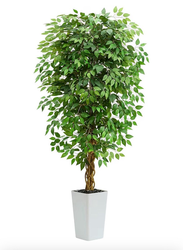 Artificial Ficus Tree 6FT Faux Floor Tree w Planter UV Resistant Black Pot – C5