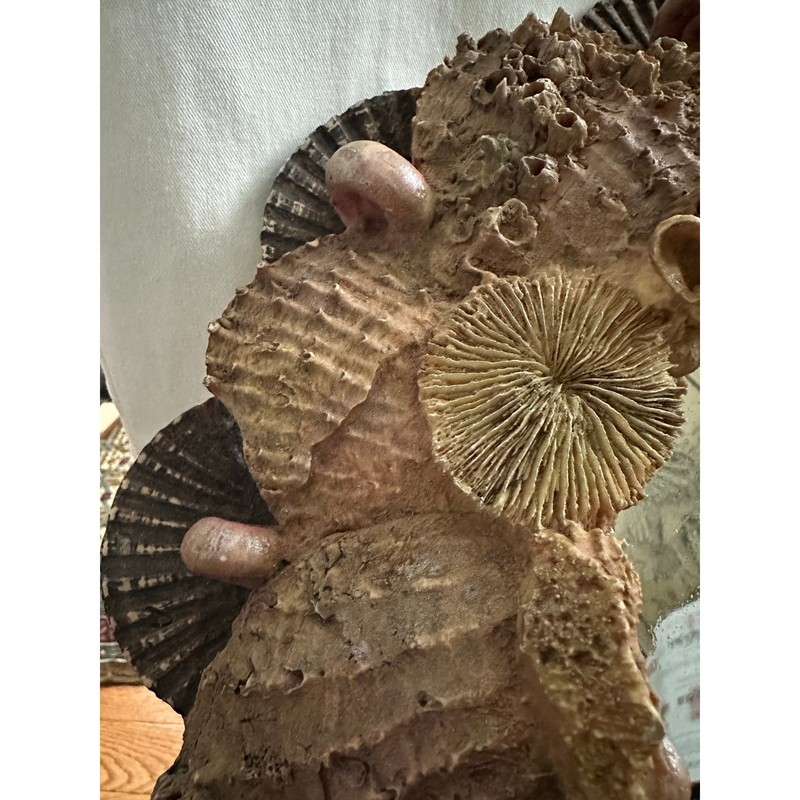 Seashell Mirror Wall Decor 15" Signed '02 Heavy round Hayes Parker Tan Beige gallery