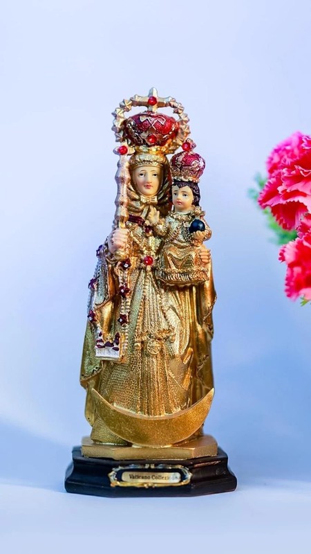 Polyresin Statue Christian Lady of Health Annai Velankanni Mary Figurine