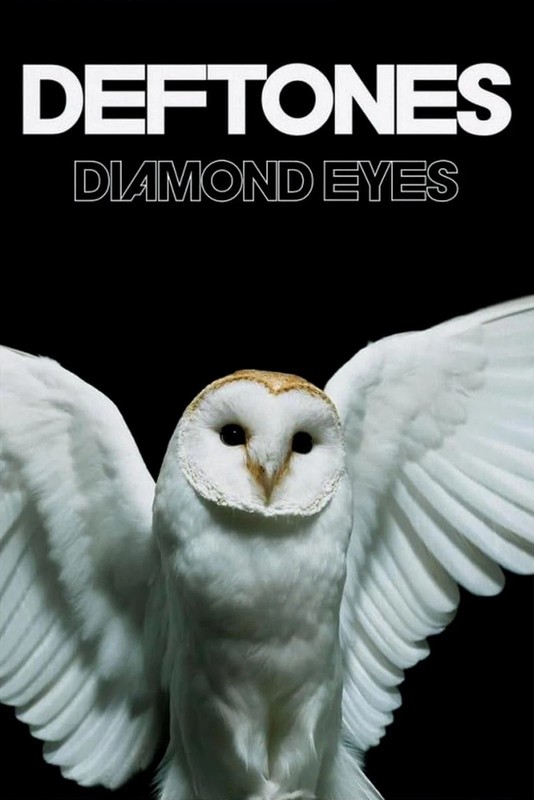 Rare Deftones Diamond Eyes Poster, Unframed Poster Wall Art Decor