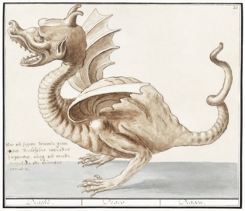 11906.Decoration Poster.Room Home office Wall decor.Nature art.Dragon drawing