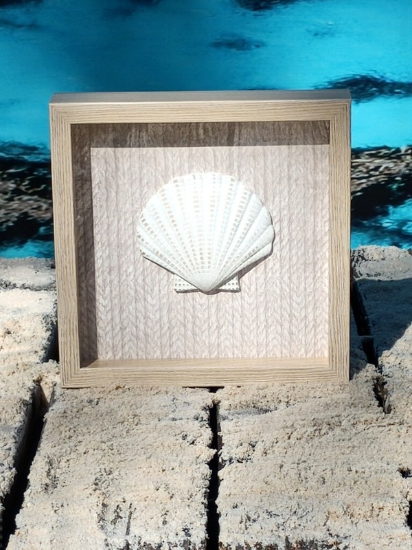 Nautical Seashell Framed Wall or Shelf Decor | Woven Rope Background | 10 x 10in