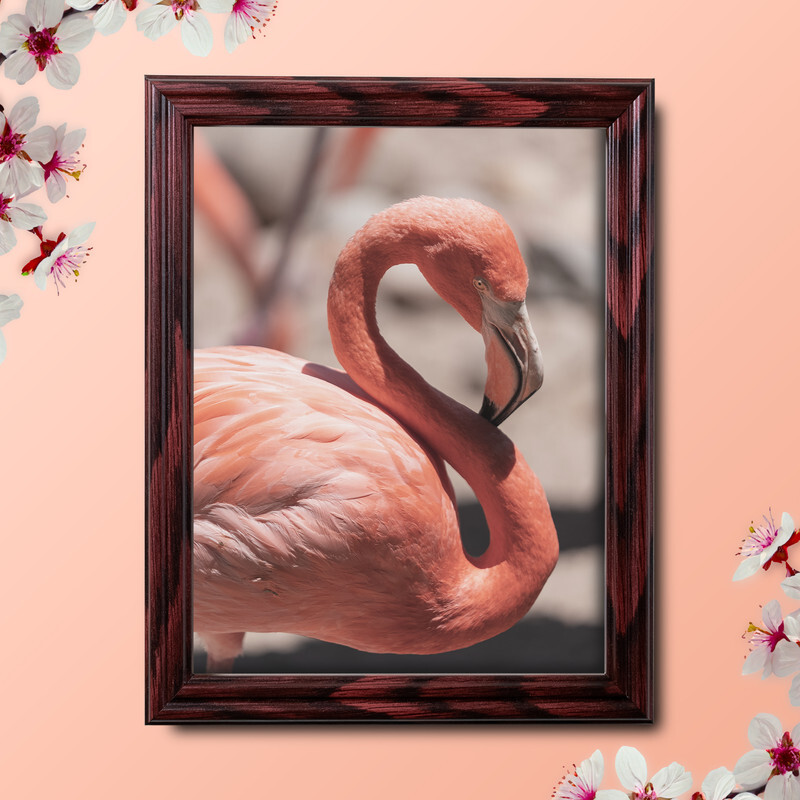 US ART Frames .75″ Cherry Solid Wood Picture Poster Frames, S-B