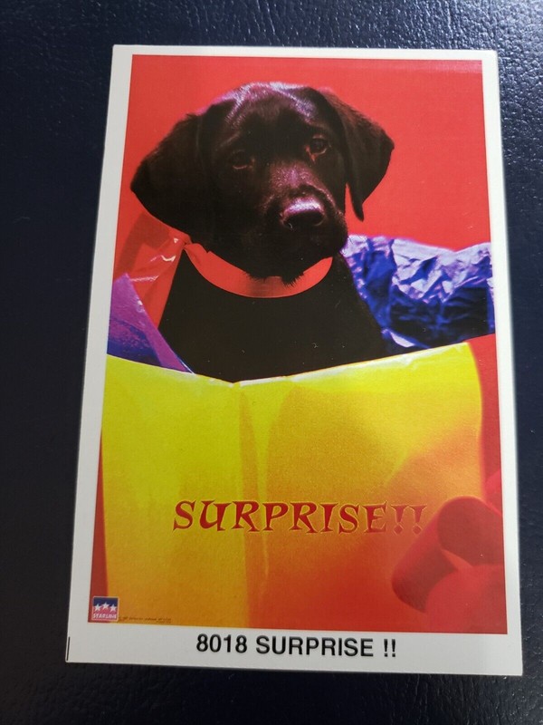 Surprise !! #8018 Starline Mini Poster 3 1/4 by 5 Inches