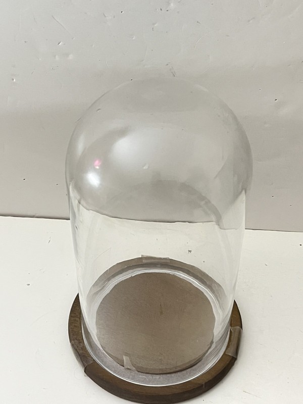 Glass Display Dome, Glass and Wood Cloche, Display Case 10” gallery