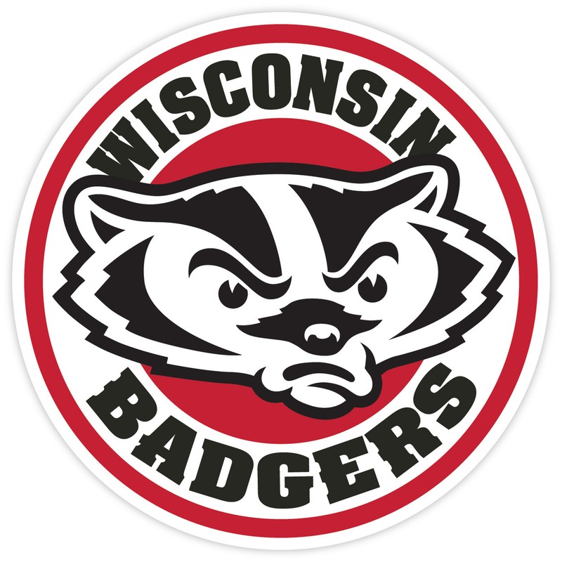 Wisconsin Badgers Vinyl Sticker Decal **MANY SIZES** Cornhole Truck Car Wall