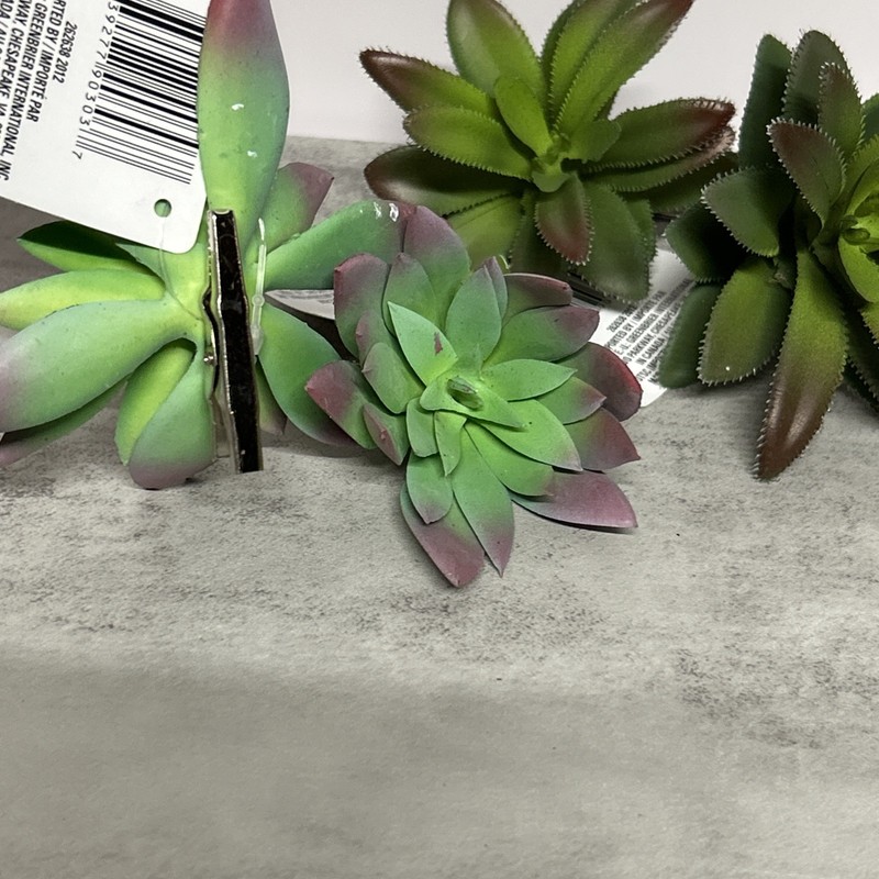 Succulent Picks Artificial Assorted Lot Of 16 Aloe Fern Flowers Blue Purple gallery