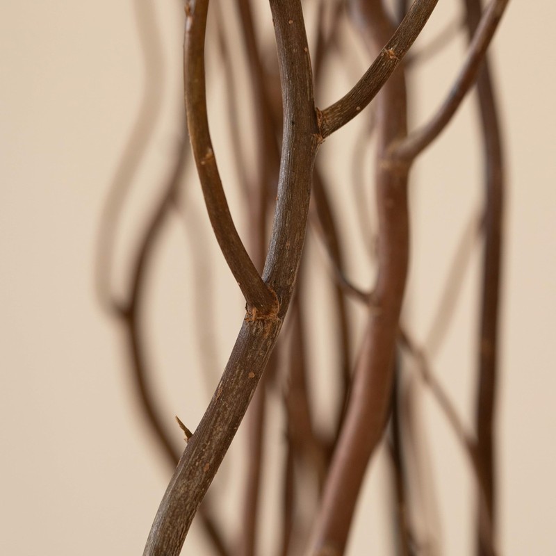 12 pcs Natural Decorative Dry Branches Authentic Willow Sticks, Home Decorati... gallery