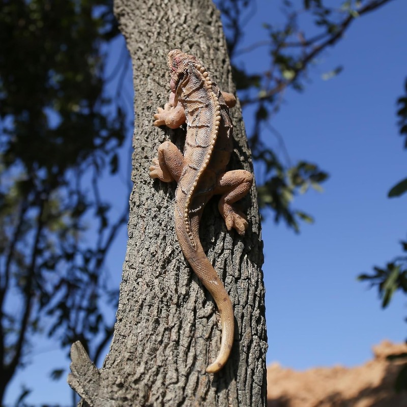 Outdoor Lizard Statue Sculpture Garden Patio Porch Tree Wall Wall Hanging Art...