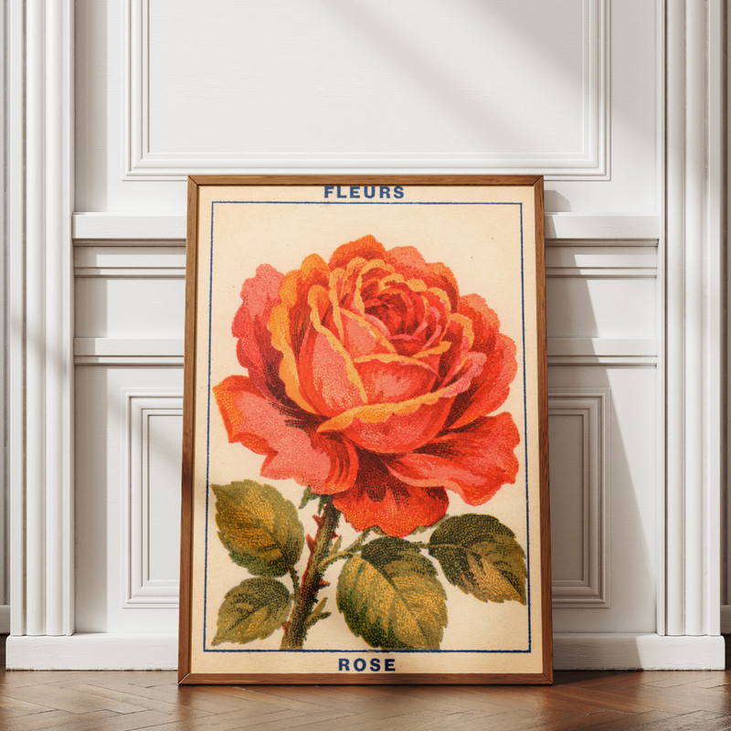 Vintage French Red Rose Botanical Poster Fleurs Cottagecore Flower Print