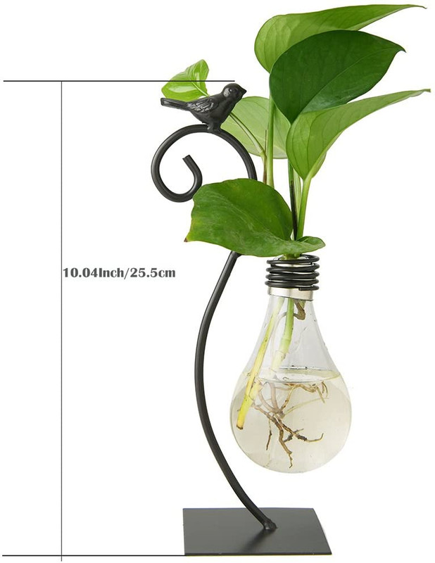 Desktop Glass Planter Hydroponics Vase,Planter Bulb Vase with Holder for Home De gallery