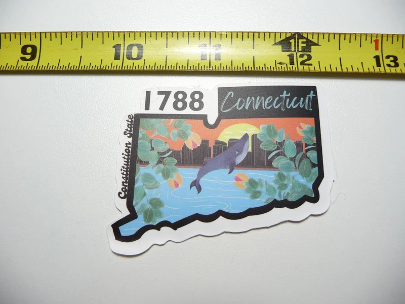 CONNECTICUT SMALL STICKER DECAL STATE PRIDE BIRTH TRAVEL VACATION TRIP USA