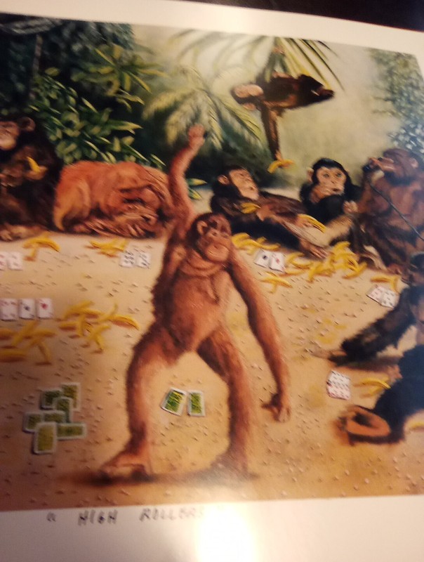 HIGH ROLLER MONKEYS, GORILLAS & MORE PICTURE GREAT FOR ANY COLLECTION! gallery