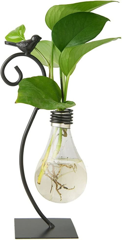 Desktop Glass Planter Hydroponics Vase,Planter Bulb Vase with Holder for Home De gallery