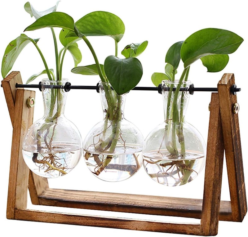 Plant Terrarium with Wooden Stand, Air Planter Bulb Glass Vase Metal Swivel H... gallery