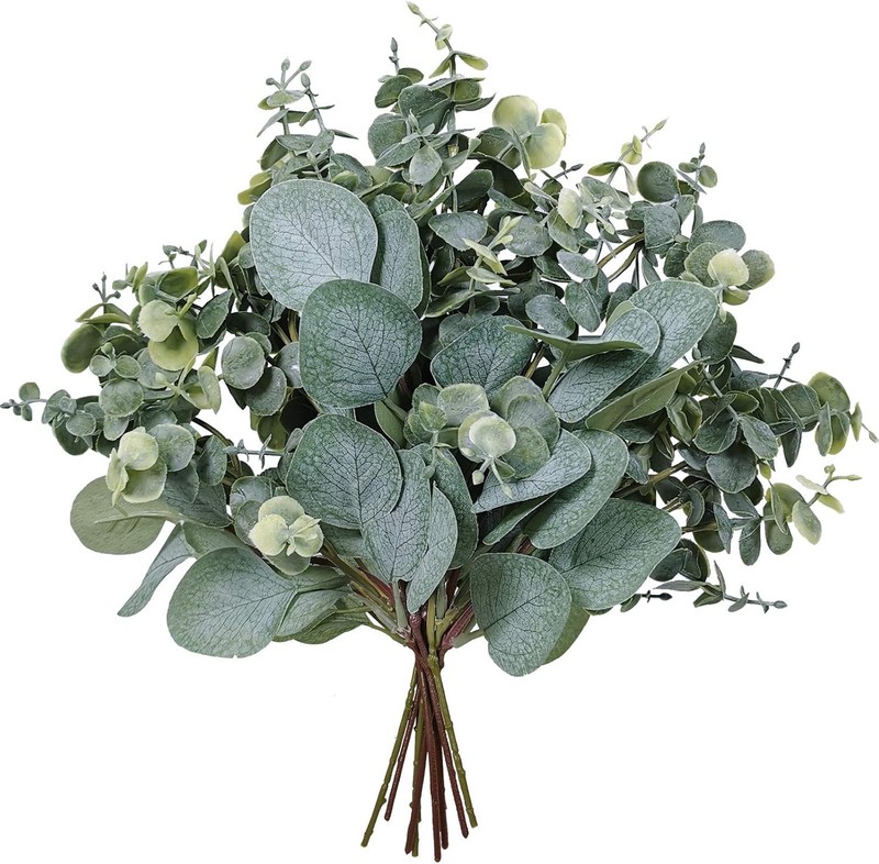 10 Pcs Mixed Eucalyptus Leaves Stems Bulk Artificial Sier Dollar Pis