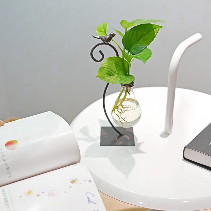 Desktop Glass Planter Hydroponics Vase,Planter Bulb Vase with Holder for Home De gallery