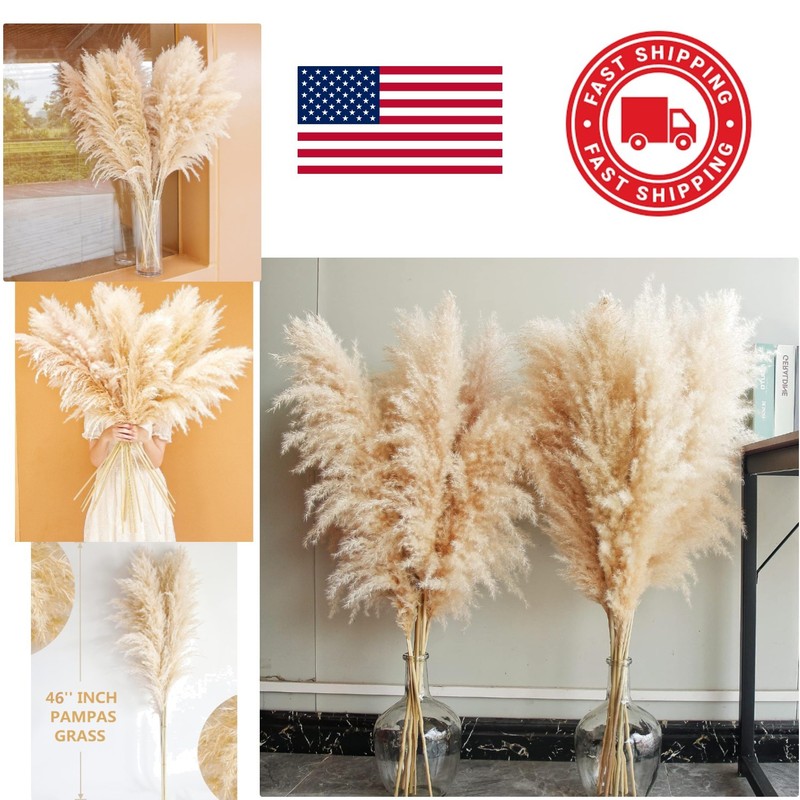Pampas Grass Home Decor 40 Inch Tall 10 Count Elegant Dried Flower Arrangements