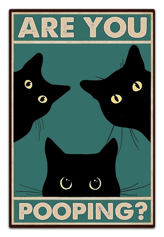 Funny Black Cat Wall Art - "Are You Pooping?" Vintage 8 x 12 inches,