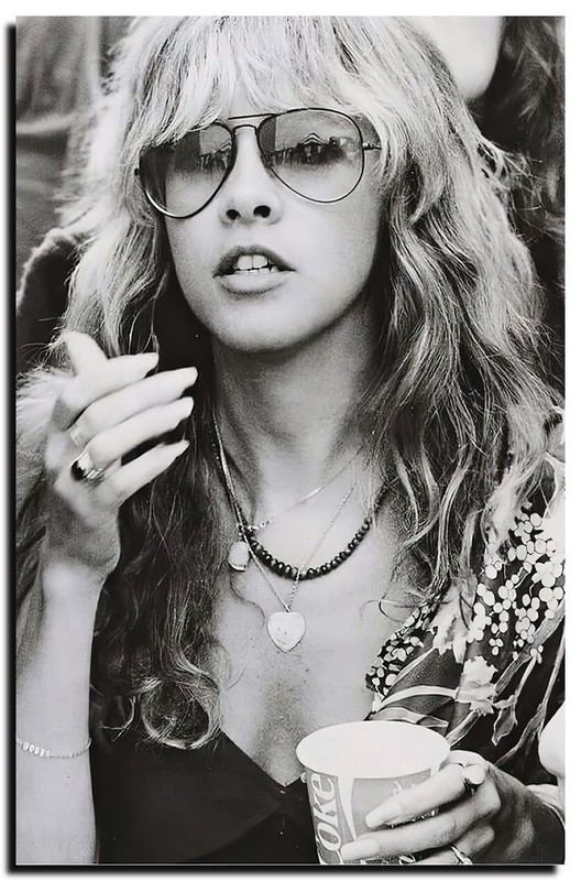 Stevie Nicks Poster 24x36 Inch Photo Rare Print Wall Art Print SN01