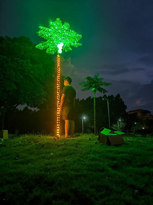 Palm Trees for Outside Patio, 9.5Ft 305 LED Lighting Artificial Palm Tree with C gallery