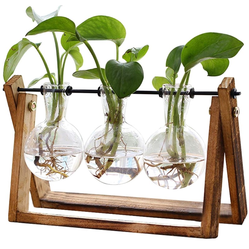 Unique Vintage Glass Air Planter with Sturdy Wooden Holder – 3 Bulb Design