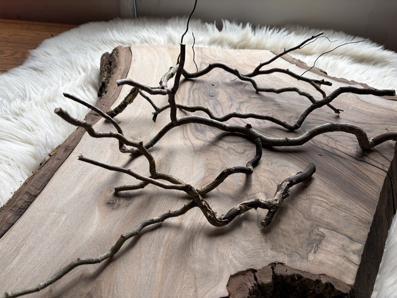 Dried Corkscrew Willow Branches for Home Decor gallery