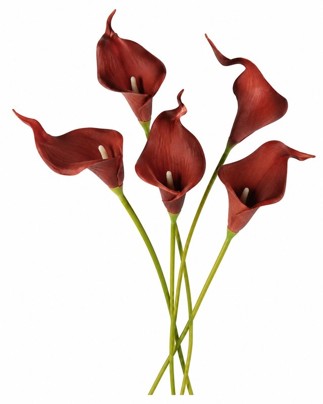 Burgundy Calla Lily Stems Faux Floral Bouquet Wine Red Flowers 5 Stem Bunch Mood