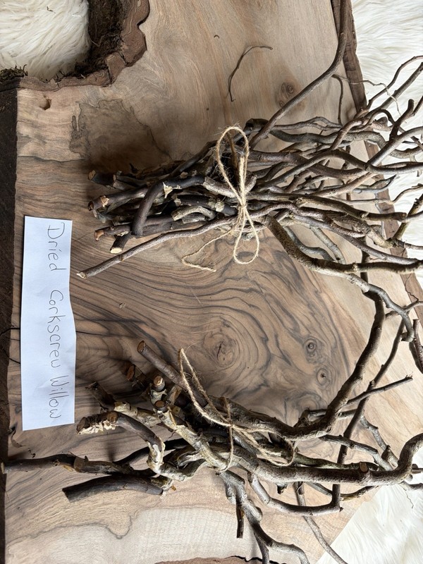 Dried Corkscrew Willow Branches for Home Decor gallery