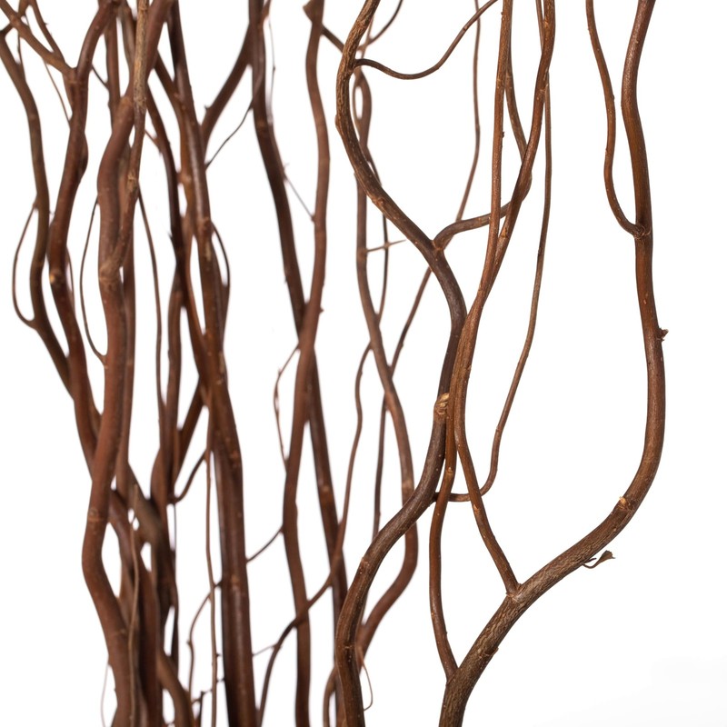 12 pcs Natural Decorative Dry Branches Authentic Willow Sticks, Home Decorati... gallery
