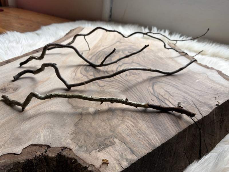 Dried Corkscrew Willow Branches for Home Decor gallery