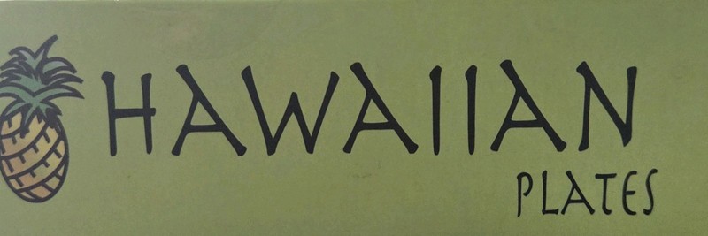 Set of 4 In Box Hawaiian Theme Colored Shirt Acrylic Plates New gallery