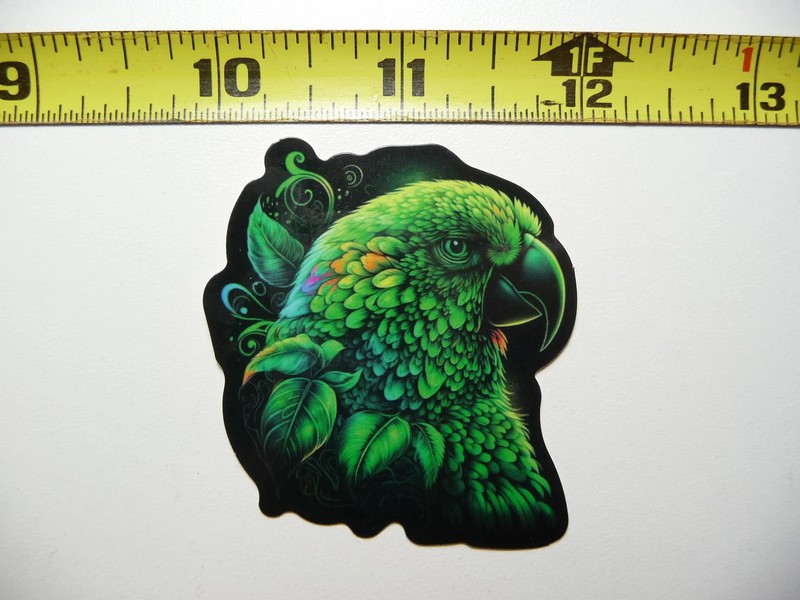GREEN PARAKEET SMALL STICKER DECAL BIRD ZOO VIBRANT MYSTICAL NEON COLORFUL