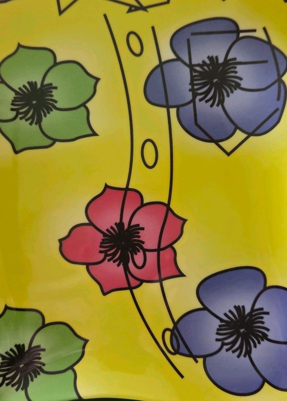 Set of 4 In Box Hawaiian Theme Colored Shirt Acrylic Plates New gallery