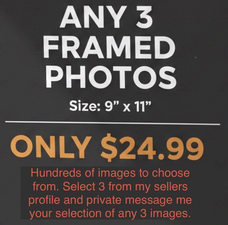 Set Of 3 Framed 9x11 Photos. Pick 3 Of These 24 Or Any Photo In My Profile.