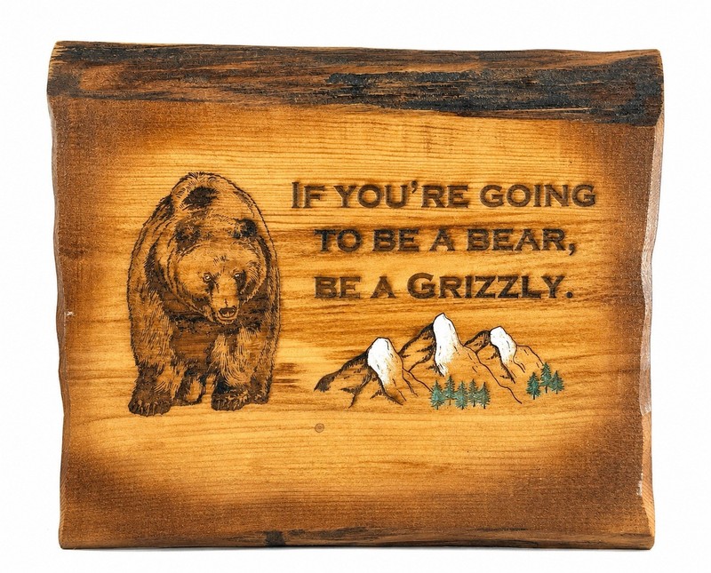 Live Edge Gifts Rustic Bear Wood Wall Art “Be A Grizzly” Cabin Lodge Sign 11.5”