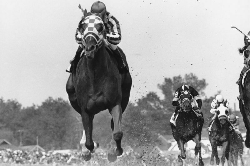 WALL POSTER: SECRETARIAT Poster Sports Poster 1 (20×30)