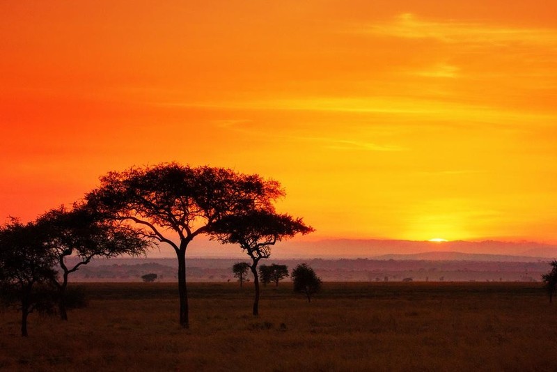 Serengeti Sunrise Panorama Photo Art Print Poster 24×36 inch