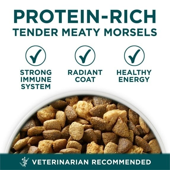 Purina One Plus Puppy Dry Dog Food for Large Dogs High Protein Growth Supprt, Re gallery