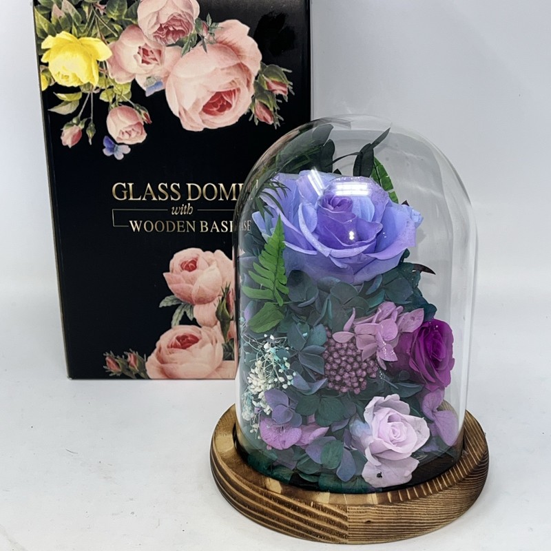 Glass Dome Preserved Roses Flowers in Lighted Wood Base