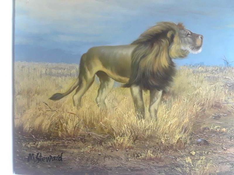 NEW lion in wilderness Oil Painting on canvas 16"x20" gallery