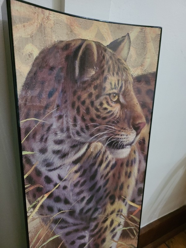 Big Cats Safari Cheetah Lion Africa Large Pair Plastic Concave Canvas 34.25"x11" gallery