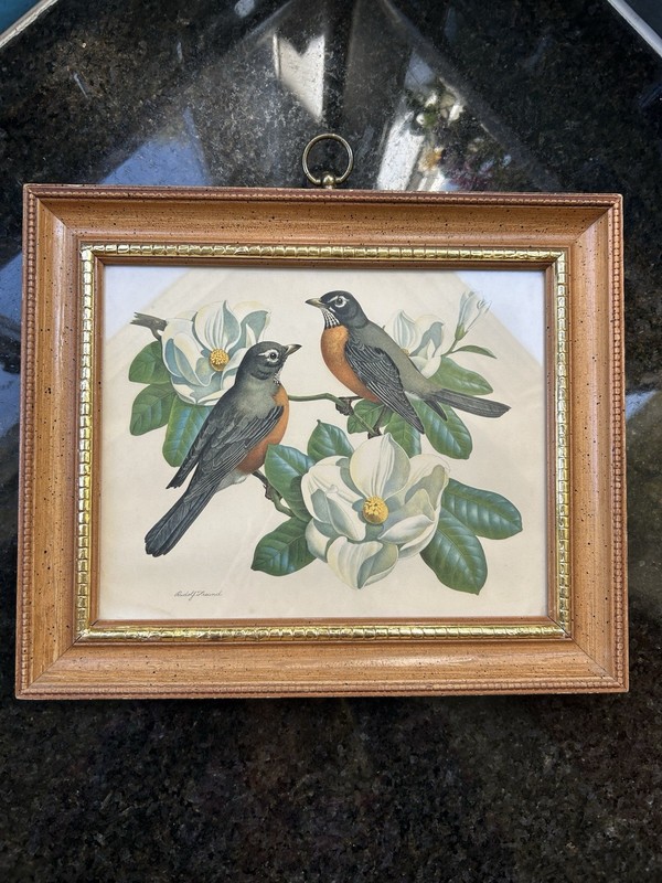 Vtg Rudolf Freund Framed Lithograph Art Print “Robin on Magnolia” 1950’s Wow!