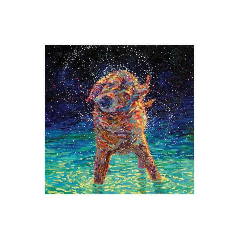 Golden Retriever on Moonlight Swim On Canvas by 12x12 in gallery