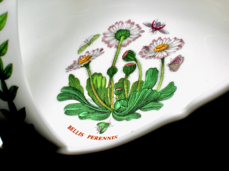 PORTMEIRION BOTANIC GARDEN 9" OVAL BASKET BELLIS PERENNIS DAISY M'S or F'S DAY gallery