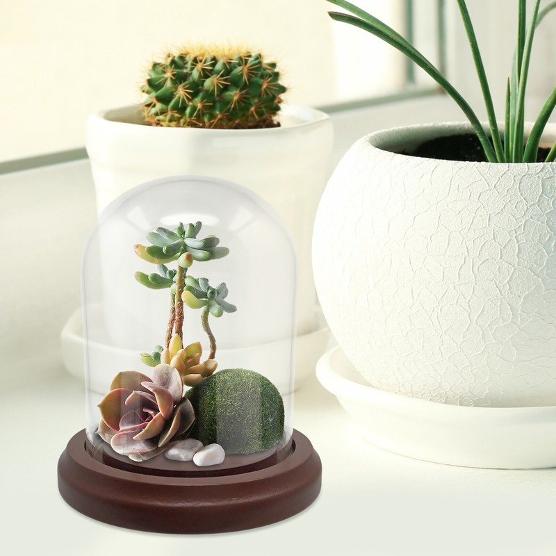 Clear Glass Dome with Hook & Base – 4.5″ H X 4″ W – Wooden Base – #1471