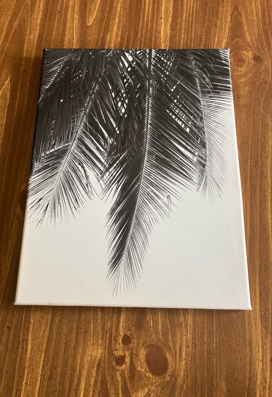 Wall Decor Palm Tree Leaves Print On Canvas 12” x 15 1/2”