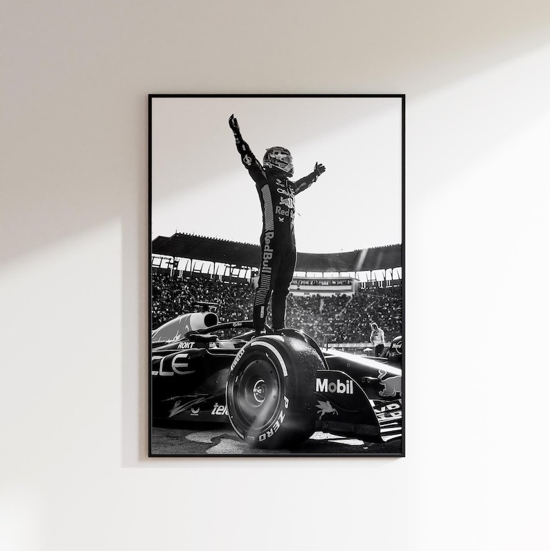 Max Verstappen Poster, Formula 1 Red Bull Poster, Formula 1 Poster, F1 Poster gallery